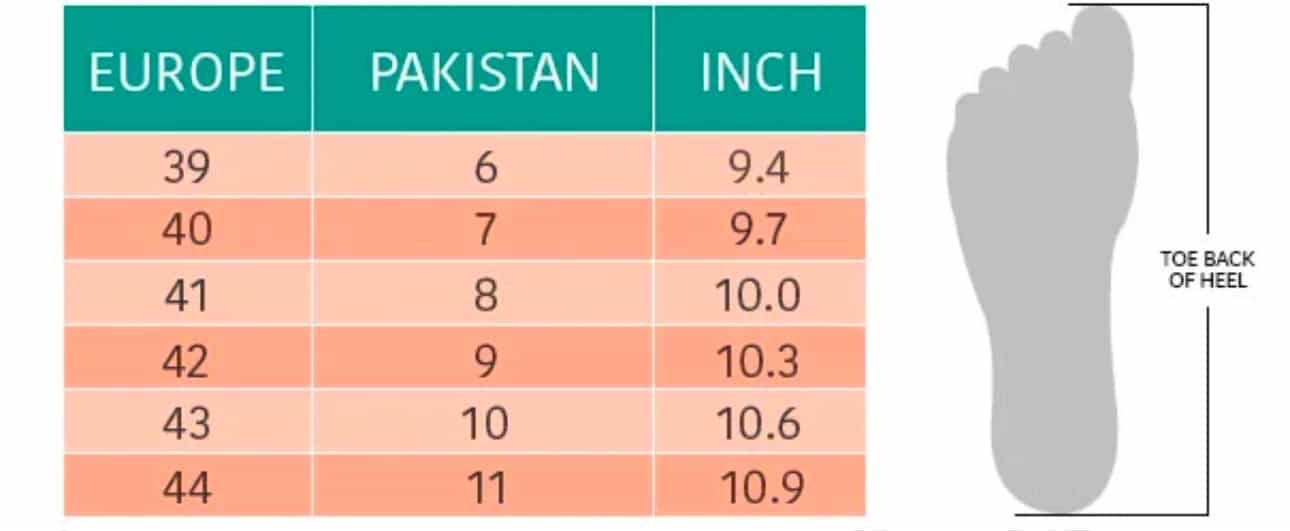 Grey And White Multi Color Sneaker