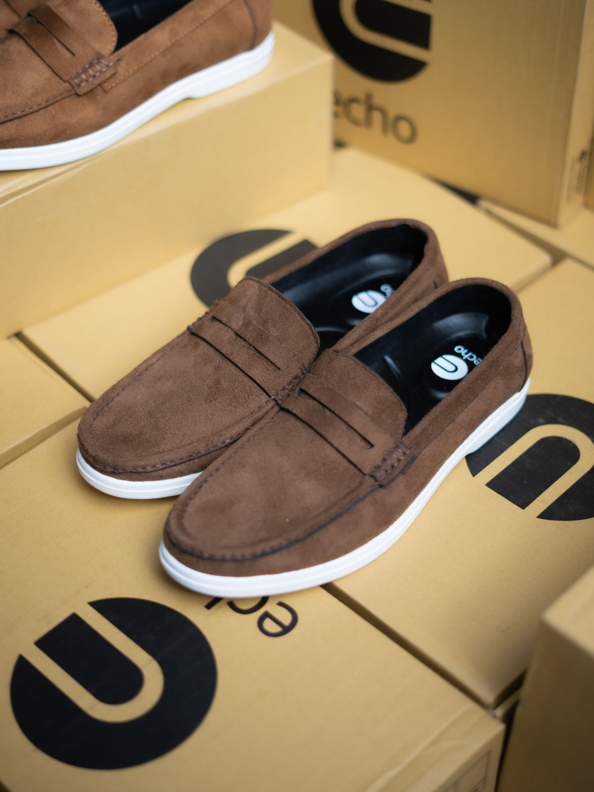Brown loafers on a cardboard box with 'ECHO' branding