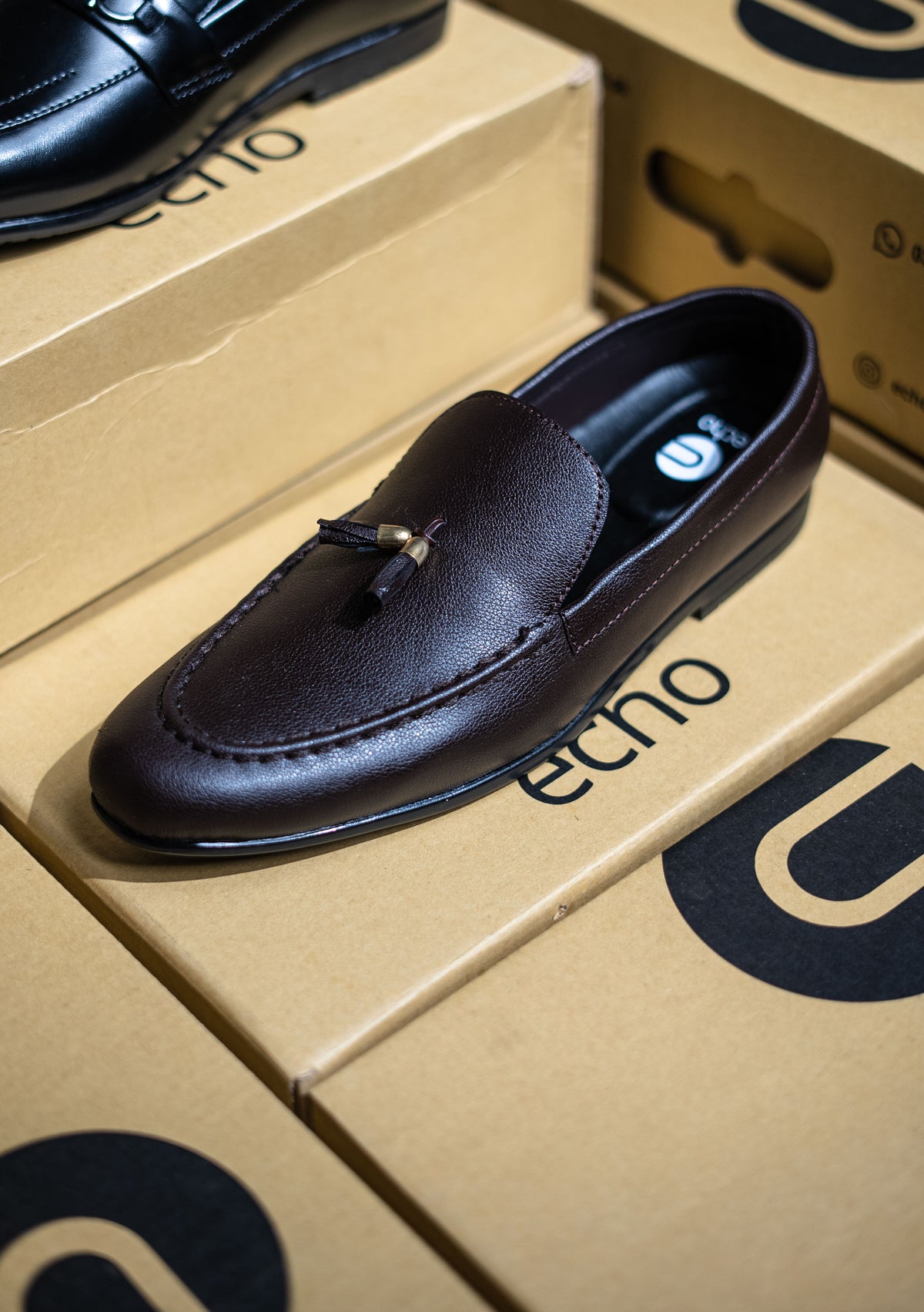Black loafer shoe on a cardboard box with 'echo' branding