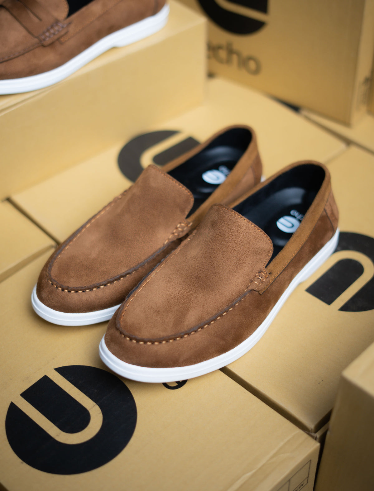 Brown loafers on a shoebox with 'ECHO' branding.